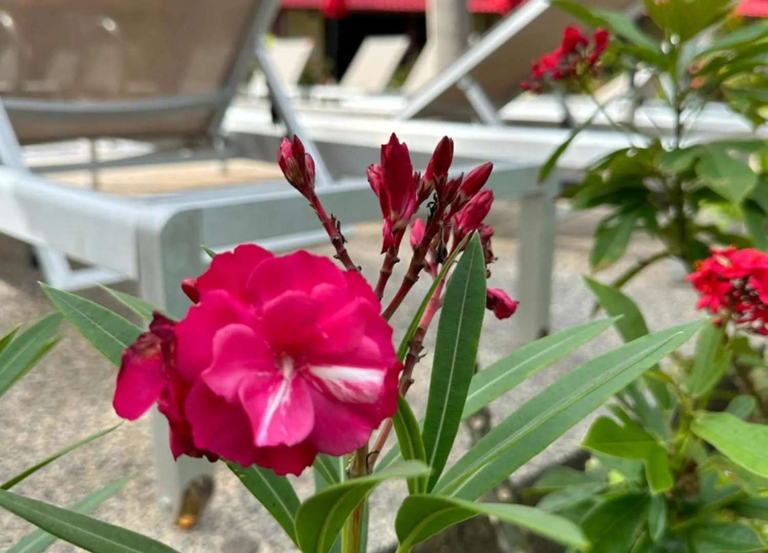 Noble House Beach Resort Ko Lanta